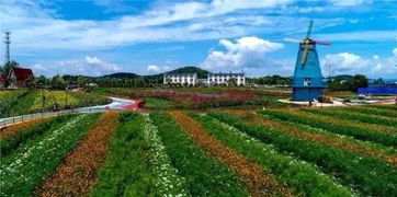 汤池念活“花木经”，经济惠泽贫困农家