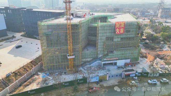 地上五层 盆栽绿植如何塑造金华城市新地标