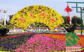 青州租摆花卉市场 一站式花卉解决方案，点亮城市绿化与亮化工程